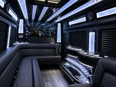 Mercedes-Benz Sprinter Limo 6